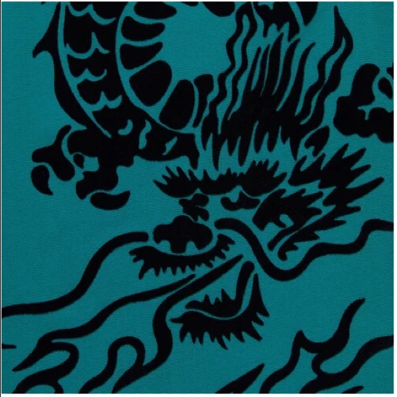 New Supreme Dragon Water Short in Teal Size Small